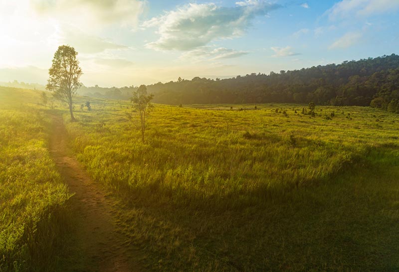 Hiking Trails สุดฟิน ที่ต้องไปลองสักครั้งในชีวิต 🌄✨
