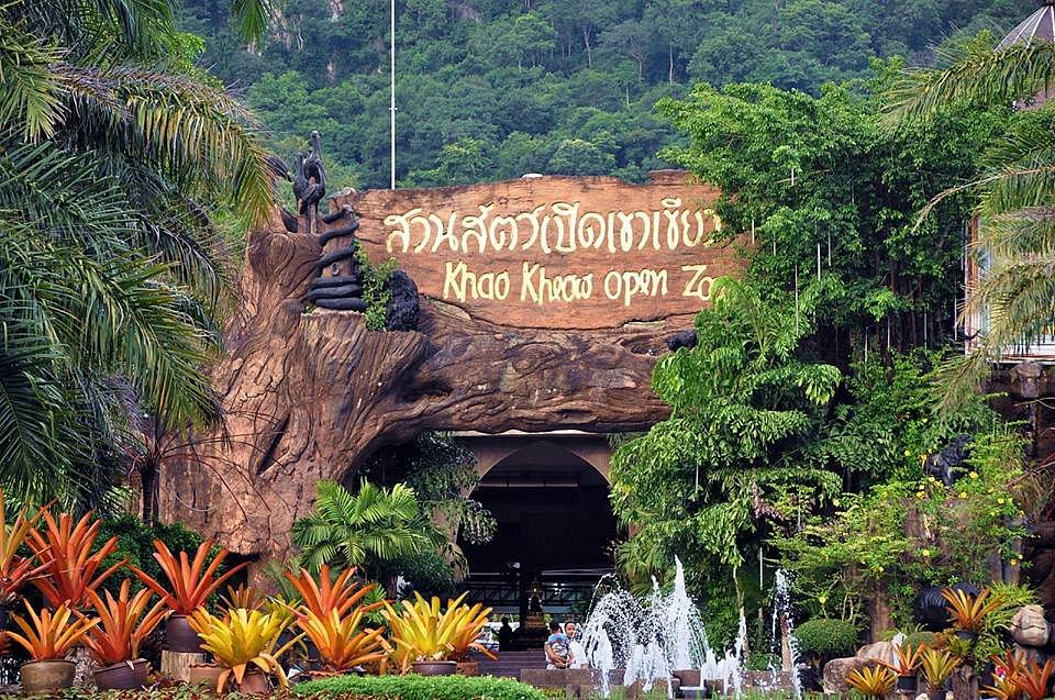 ไฮไลต์สวนสัตว์เปิดเขาเขียว ที่ห้ามพลาด 🏞️🦁